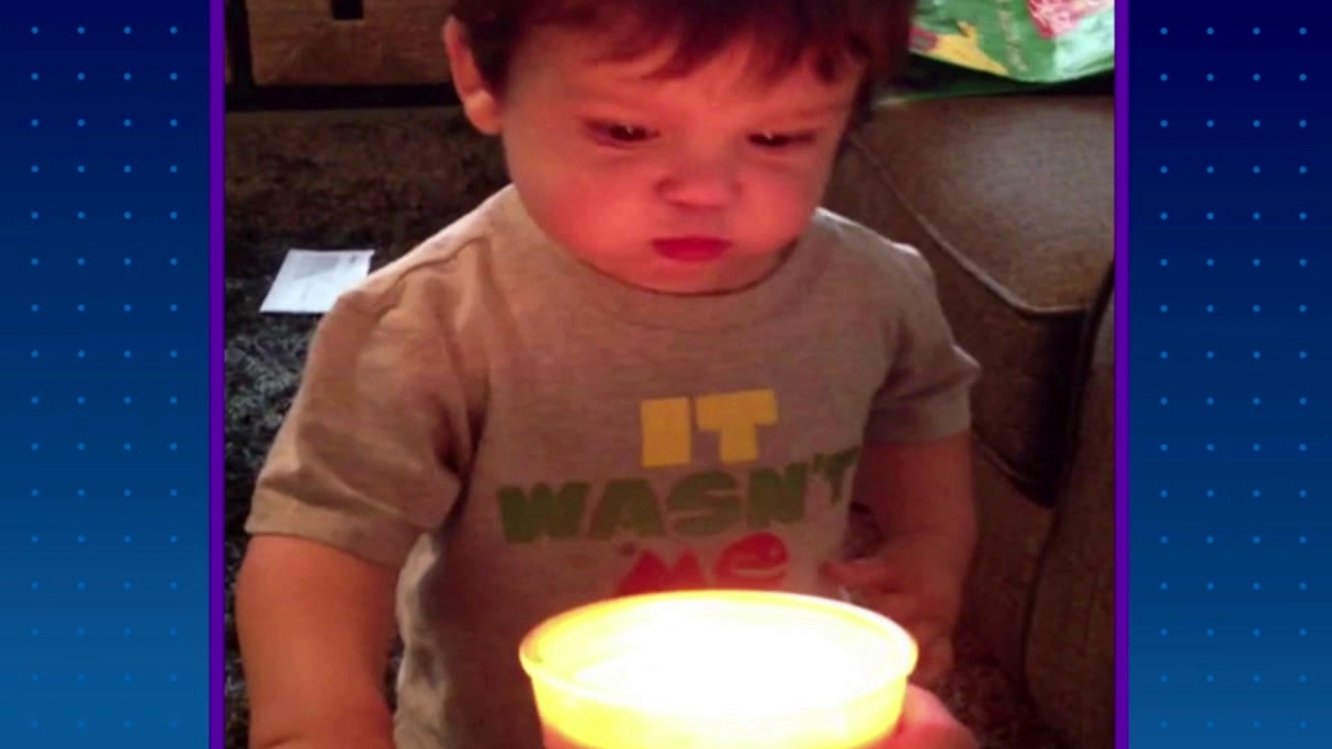 America's Funniest Home Videos: Potpourri Package