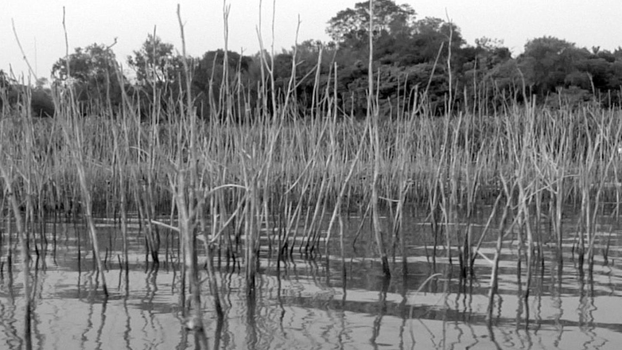Paraguay Remembered: Water