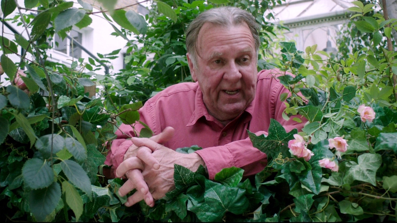 This Beautiful Fantastic: Weeds