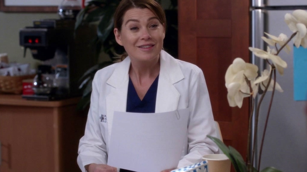 Grey's Anatomy: Mer/Riggs