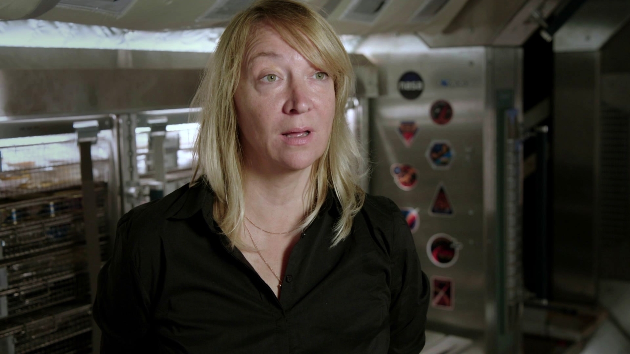 Life: Alex Reynolds On Her Research Process