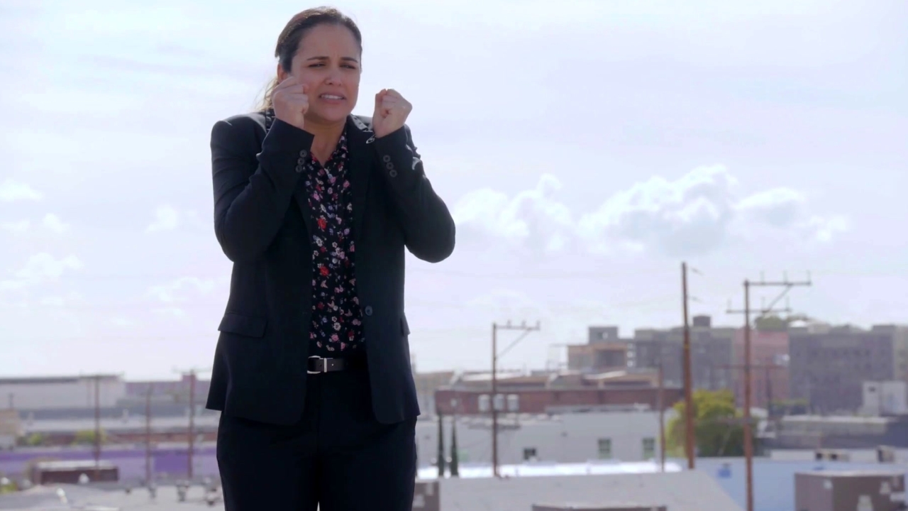 Brooklyn Nine-Nine: The Audit