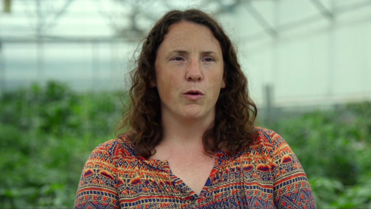 Tomorrow: Agriculture