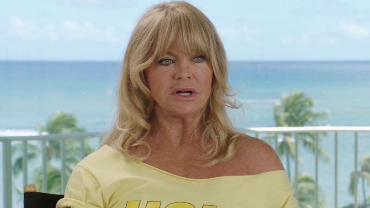 Snatched: Goldie Hawn on Christopher Meloni bringing Rodger to life (International)