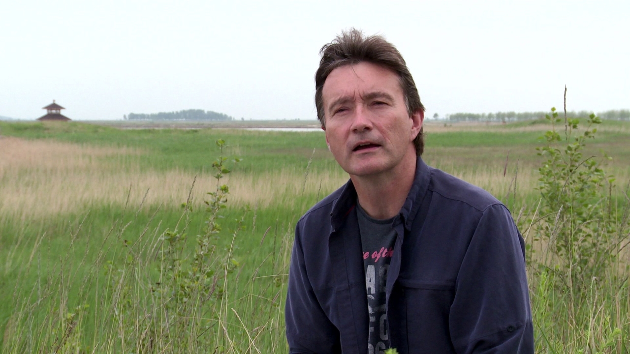 Born In China: Paul Stewart On The Red Crown Crane's Story In The Film