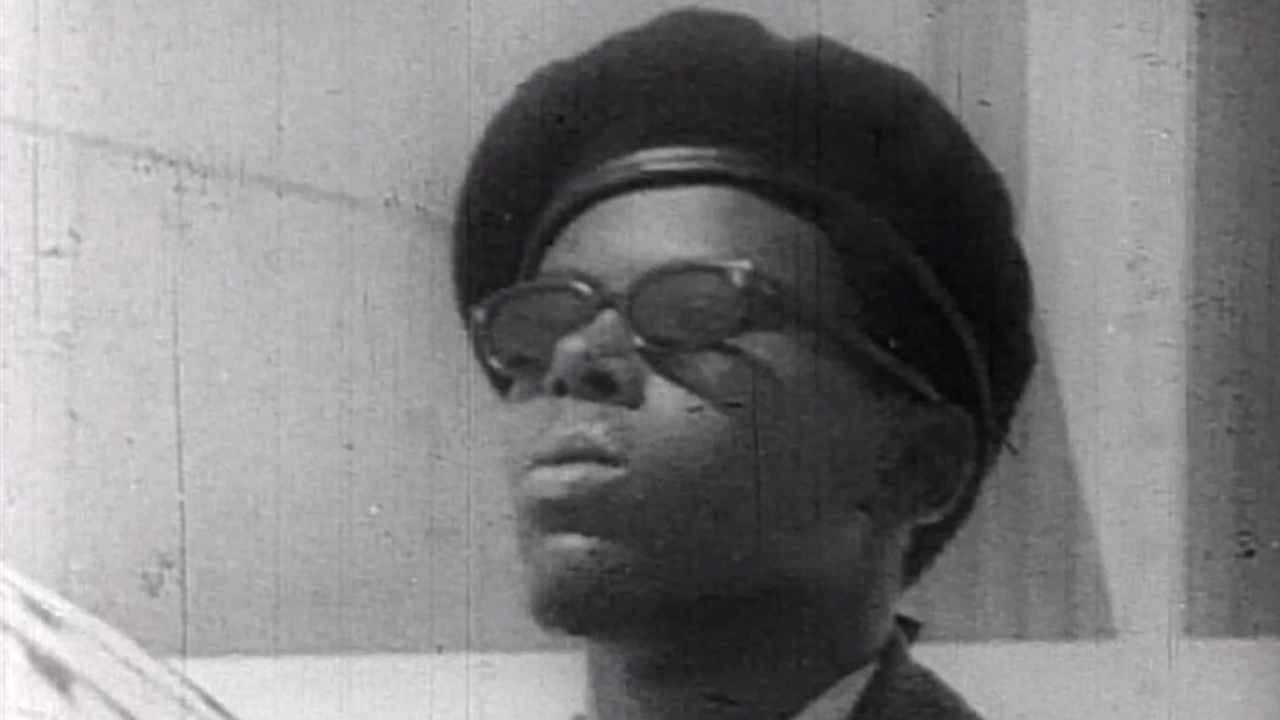 The Skyjacker's Tale: Black Panthers