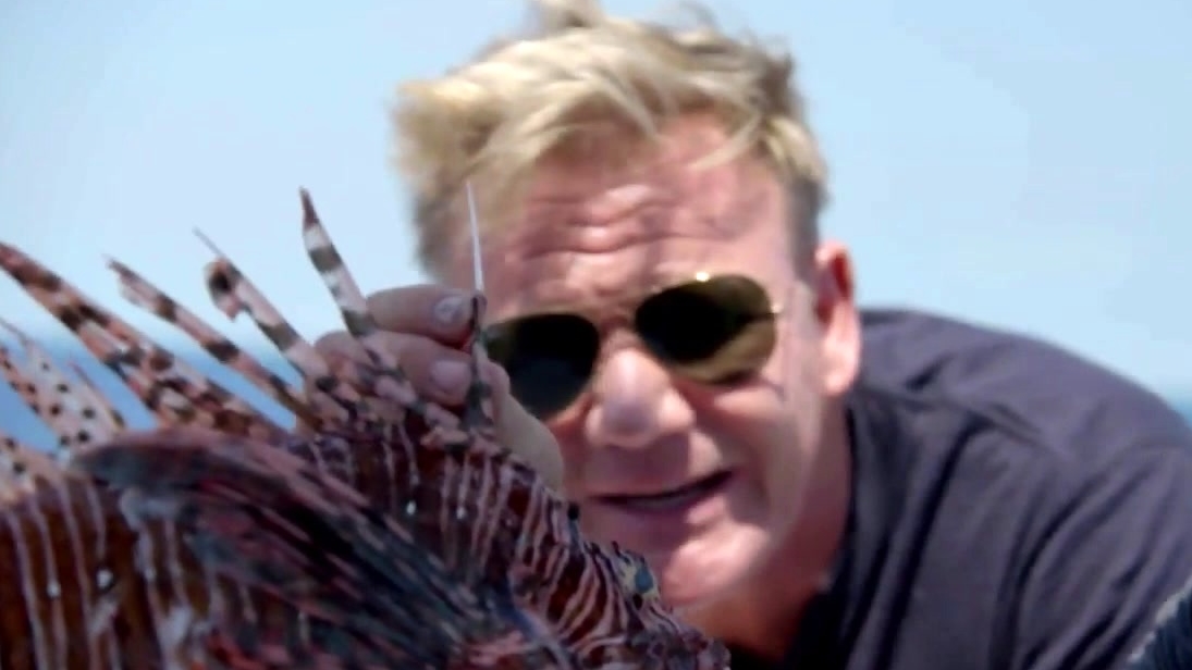 The F Word: Gordon Ramsay Hunts For Lionfish To Cook