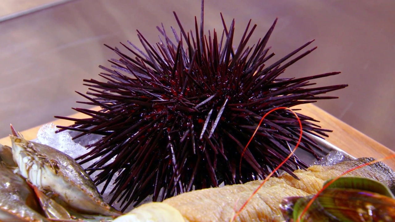 Masterchef: A Mystery Box Full Of Shell Fish