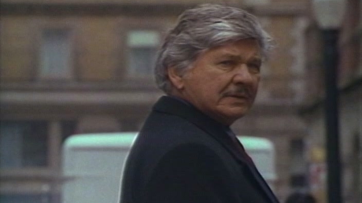 Death Wish 5: The Face Of Death