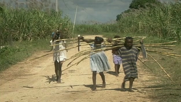 The Price Of Sugar