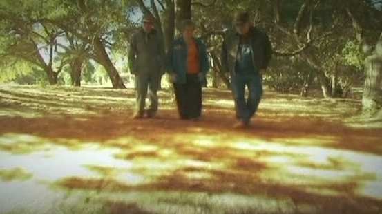 Ufo Files: UFOs of the '70s