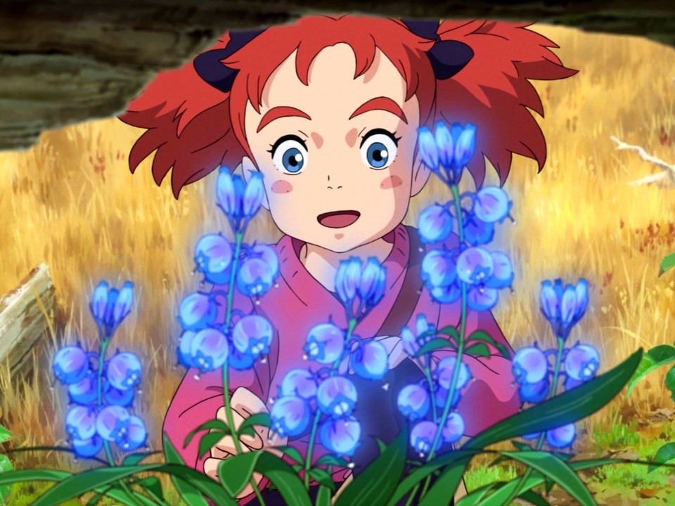 Mary And The Witch's Flower