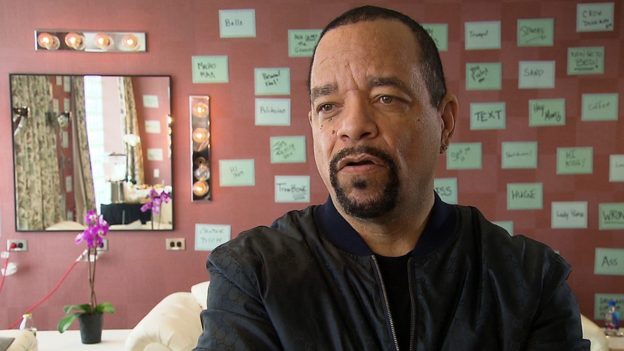 Match Game: Ice-T, Panelist, On The Appeal Of The Show
