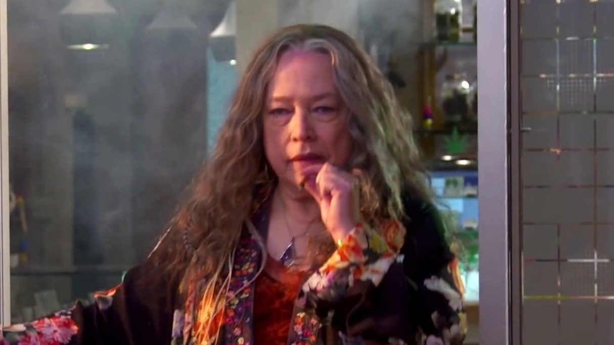 Disjointed: Season 1