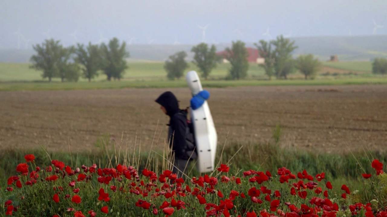 Strangers On The Earth