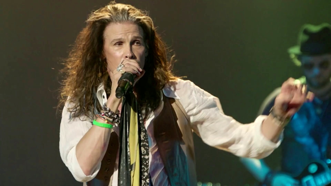 Steven Tyler: Out On A Limb
