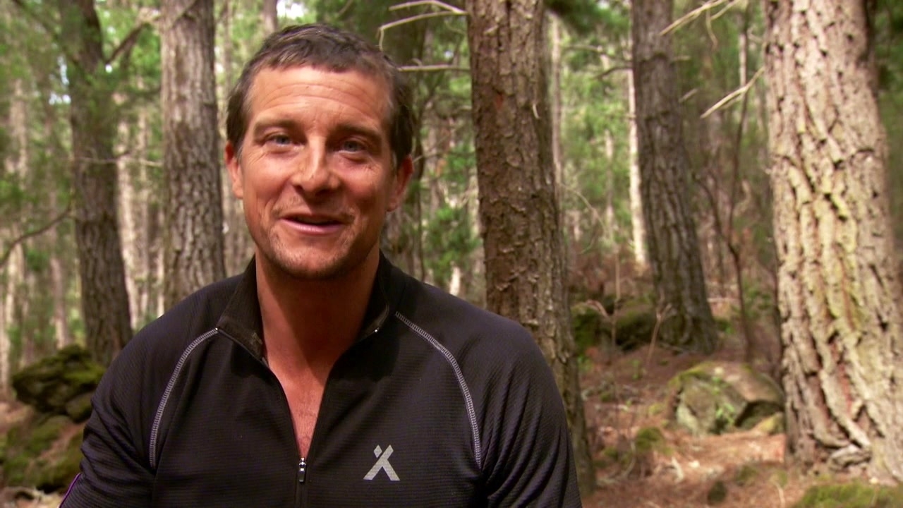Running Wild With Bear Grylls: Old Man's Beard