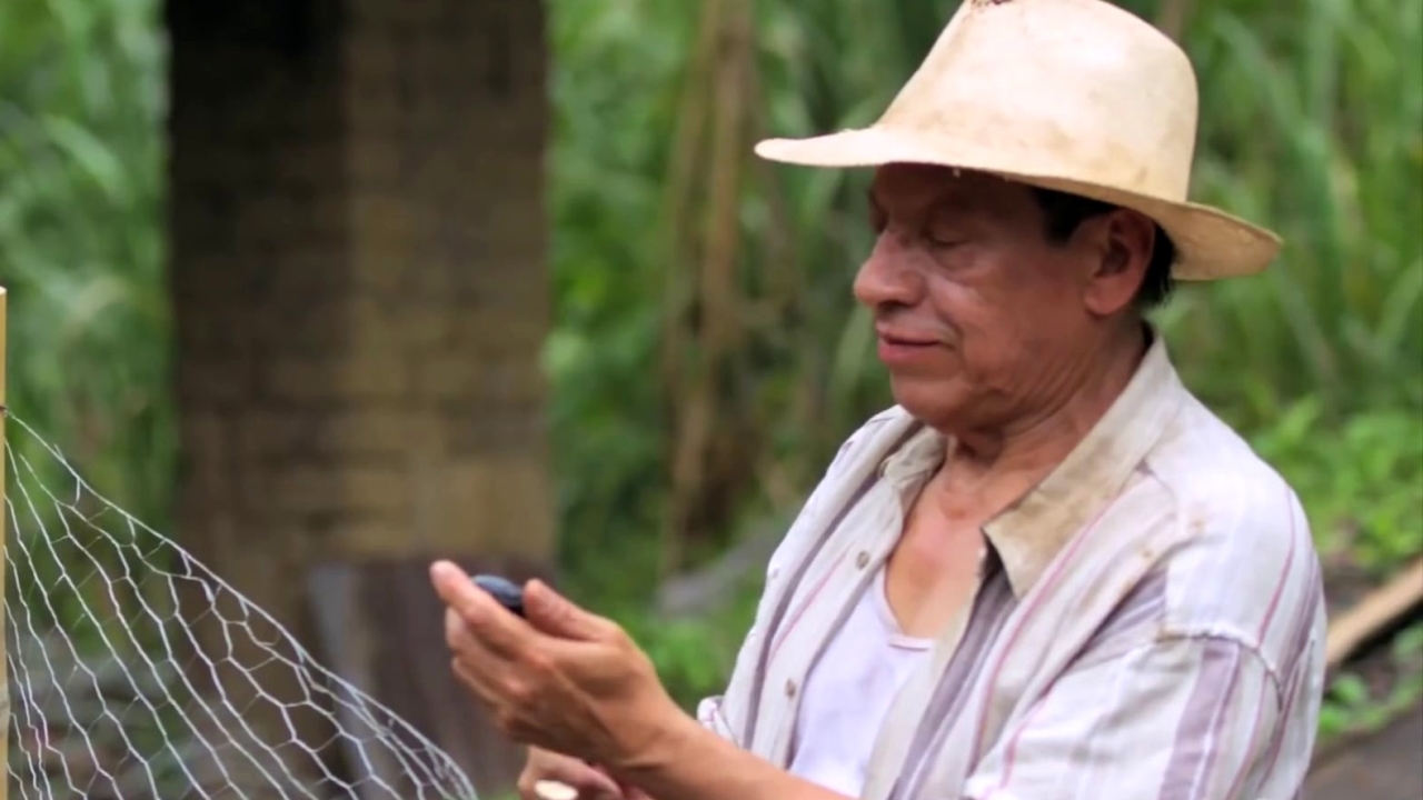Documentary Now!: Season 2