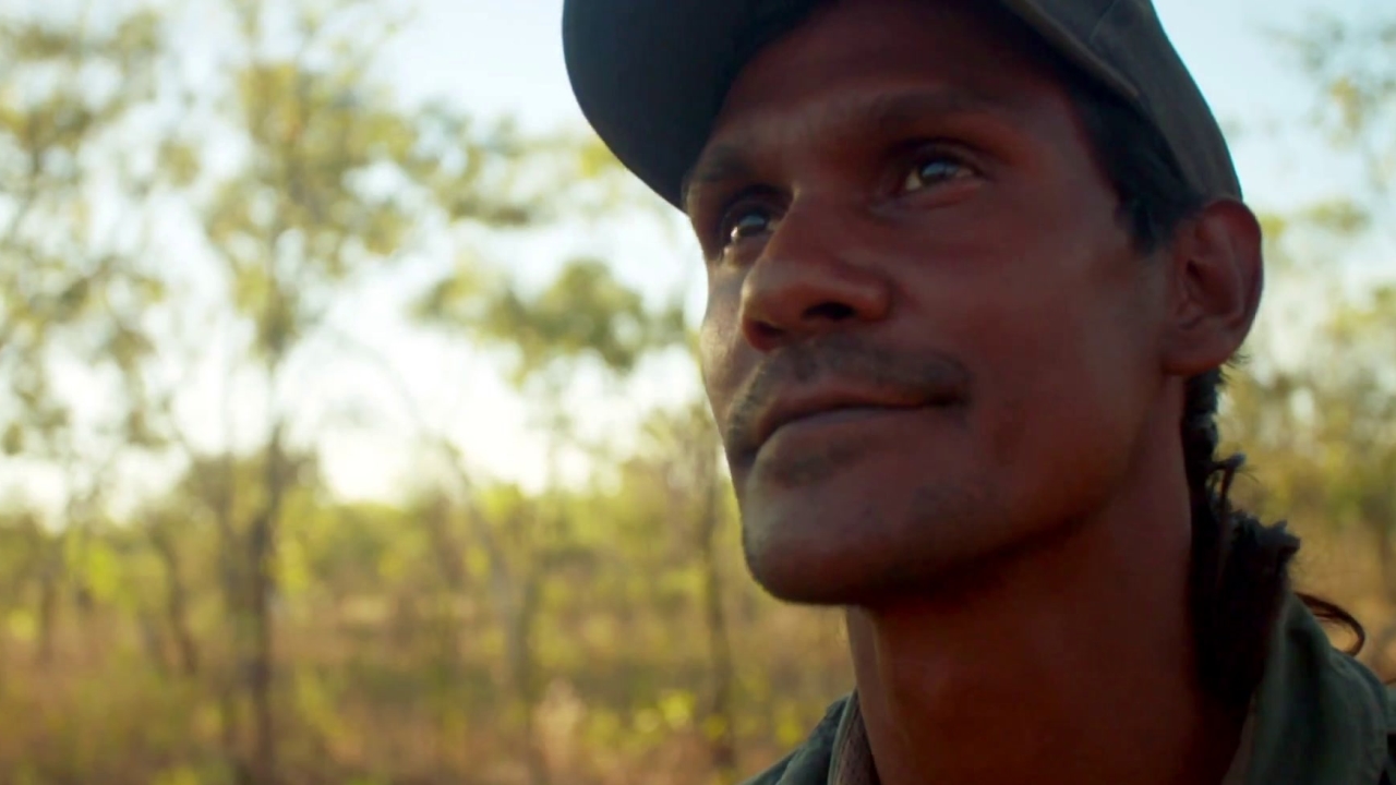 Outback Where to Watch and Stream TV Guide