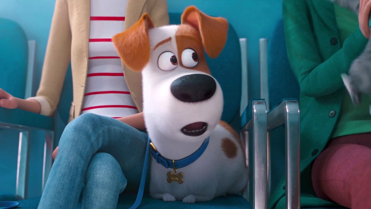 The Secret Life Of Pets 2: Nick Kroll On Who Sergei Is - TV Guide