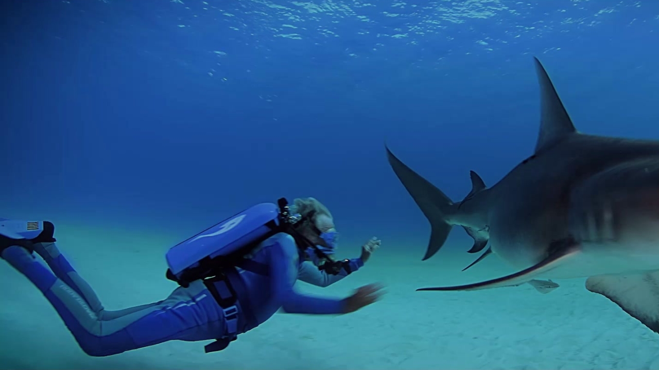 Wonders of the Sea 3D