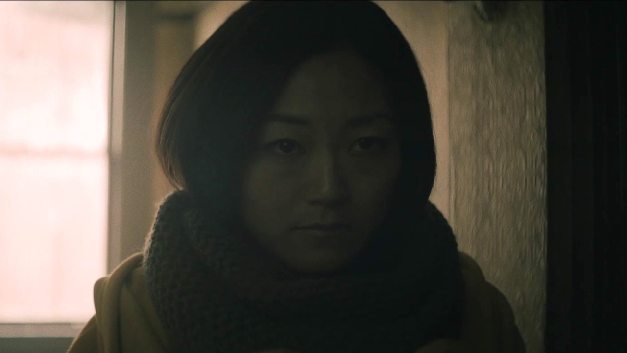 Stray (2019) Trailer Stray Metacritic