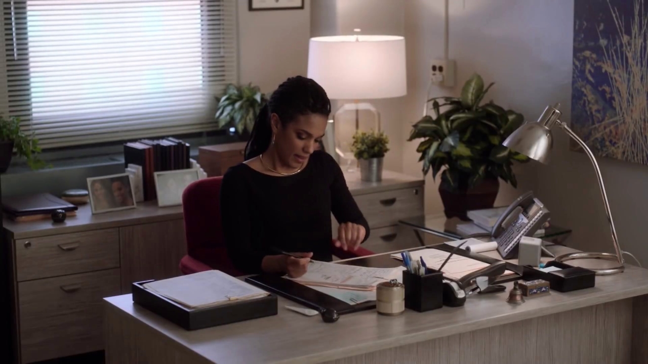 New Amsterdam: Sharpe and Panthaki Have The Baby Talk