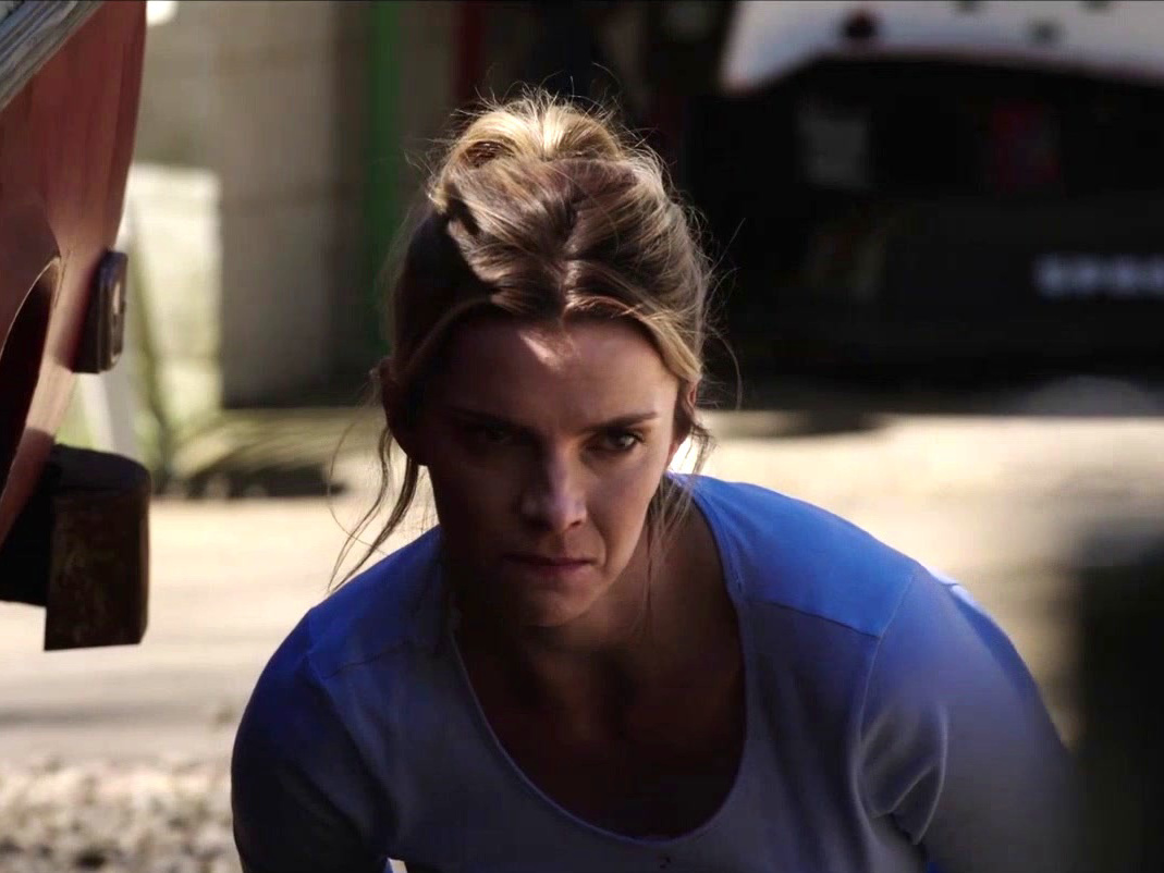 The Hunt - Where to Watch and Stream - TV Guide