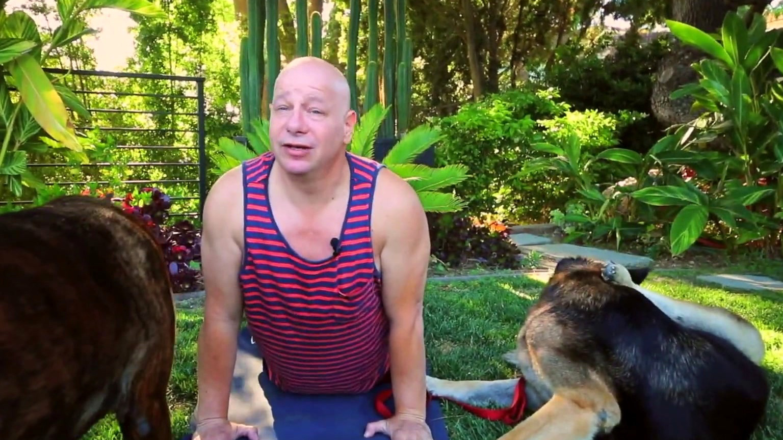 Tournament Of Laughs: Jeff Ross Does Yoga With Dogs