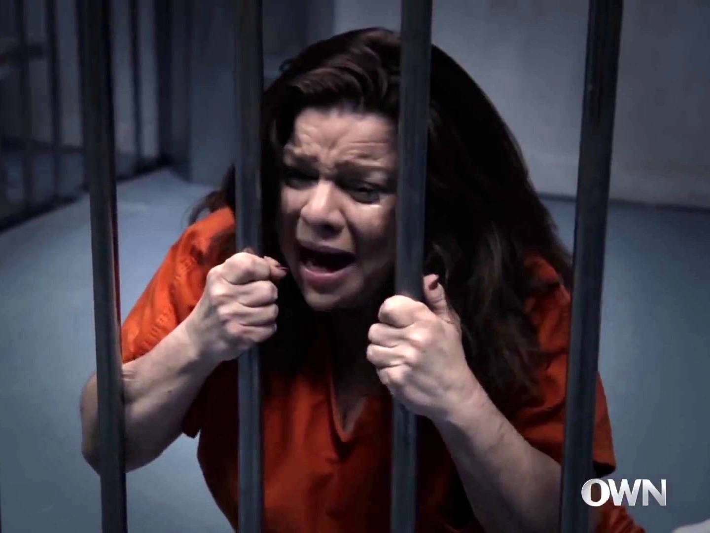 Tyler Perry's The Haves And The Have Nots: Power Of Attorney