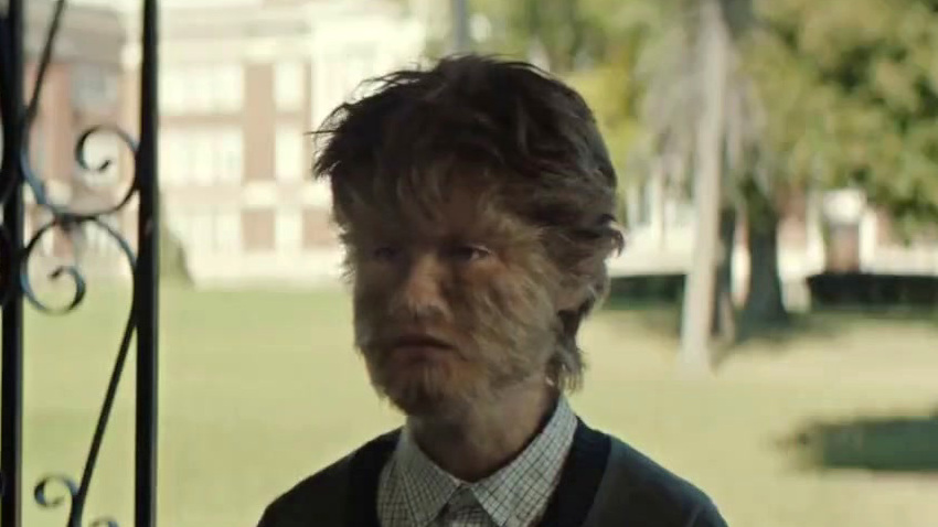 The True Adventures Of Wolfboy