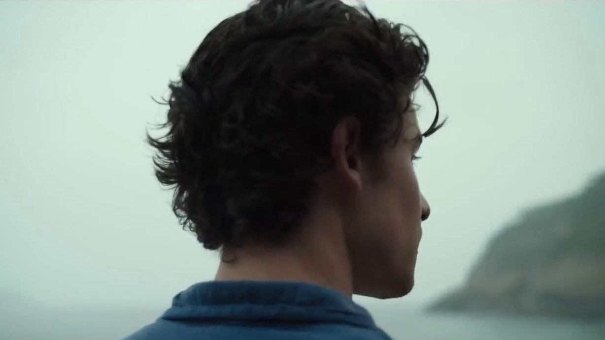 Shawn Mendes: In Wonder