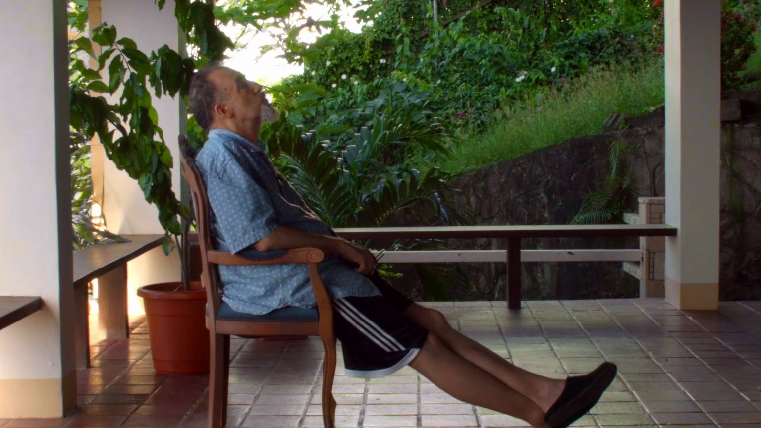 Painting With John Season 3 Reviews Metacritic