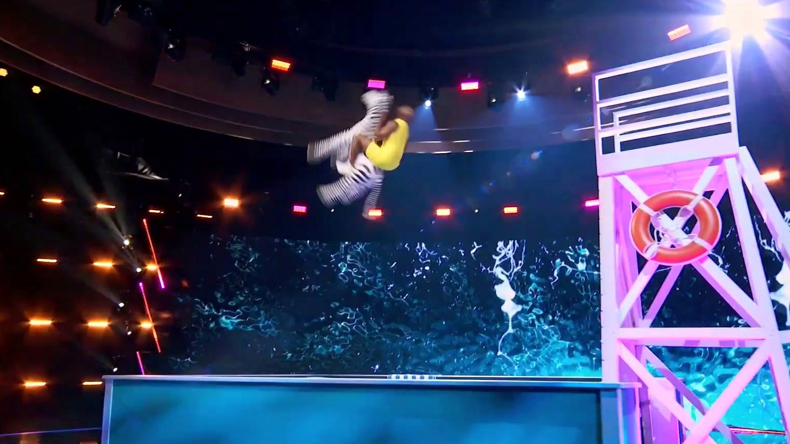 Game Of Talents: Animal Acrobat