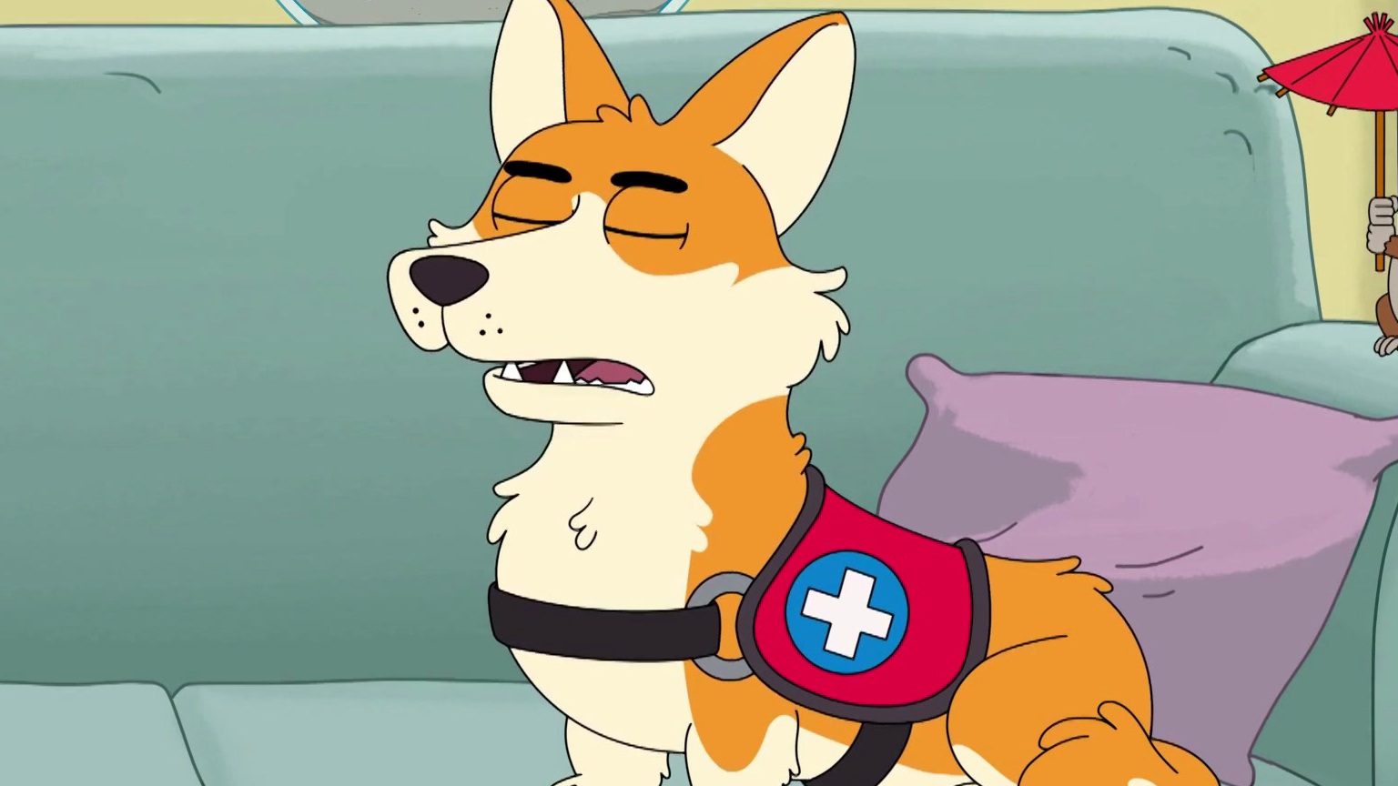 Housebroken: Somewhere Between Compliant And Frisky