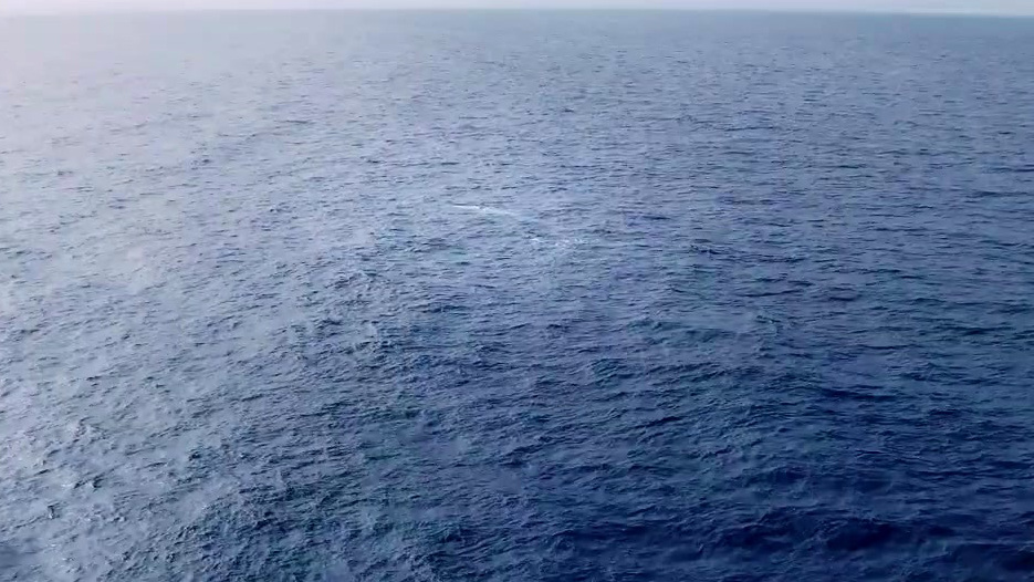 The Loneliest Whale: The Search For 52 (15 Second Spot 1)