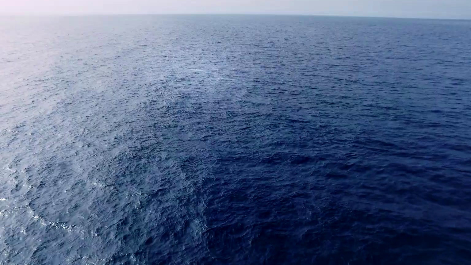 The Loneliest Whale: The Search For 52 (15 Second Spot 3)