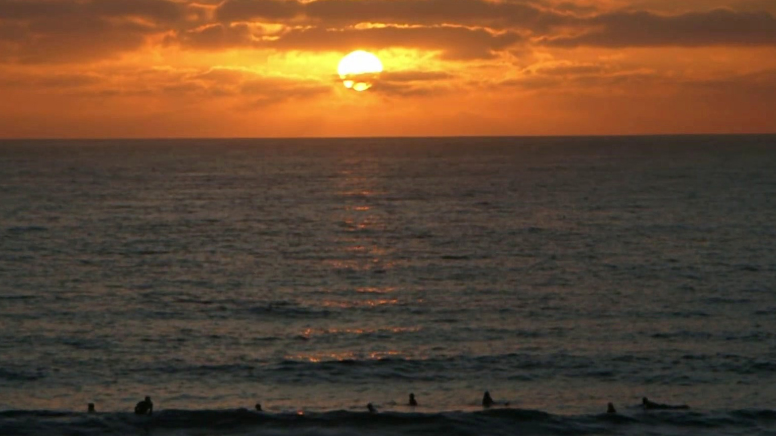 The Loneliest Whale: The Search For 52: It's Out There