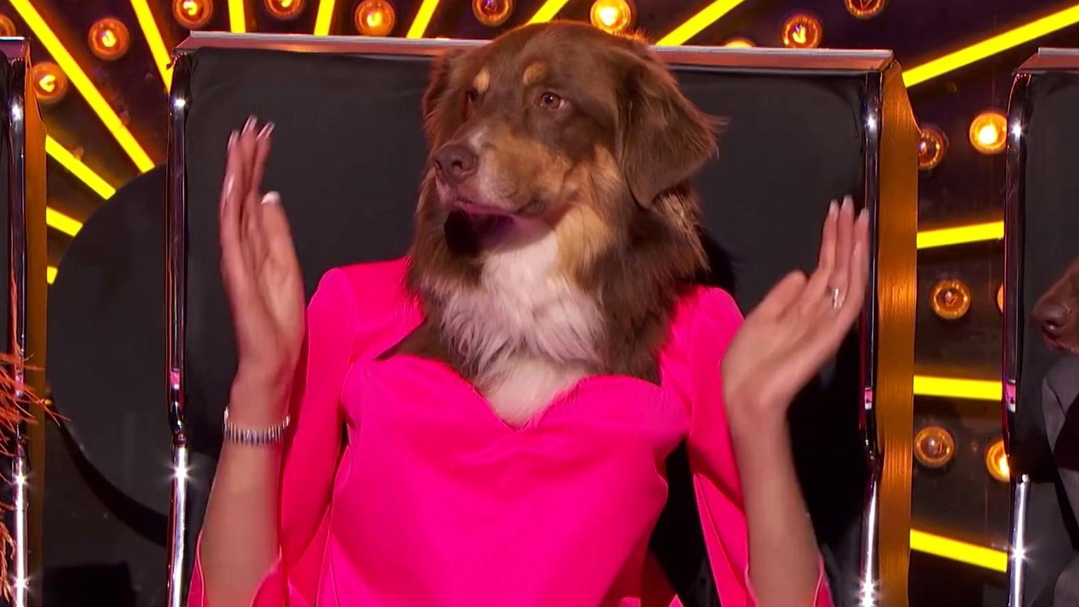 America's Got Talent: Canine Stars Bring Their Best Dog Performance To Agt!