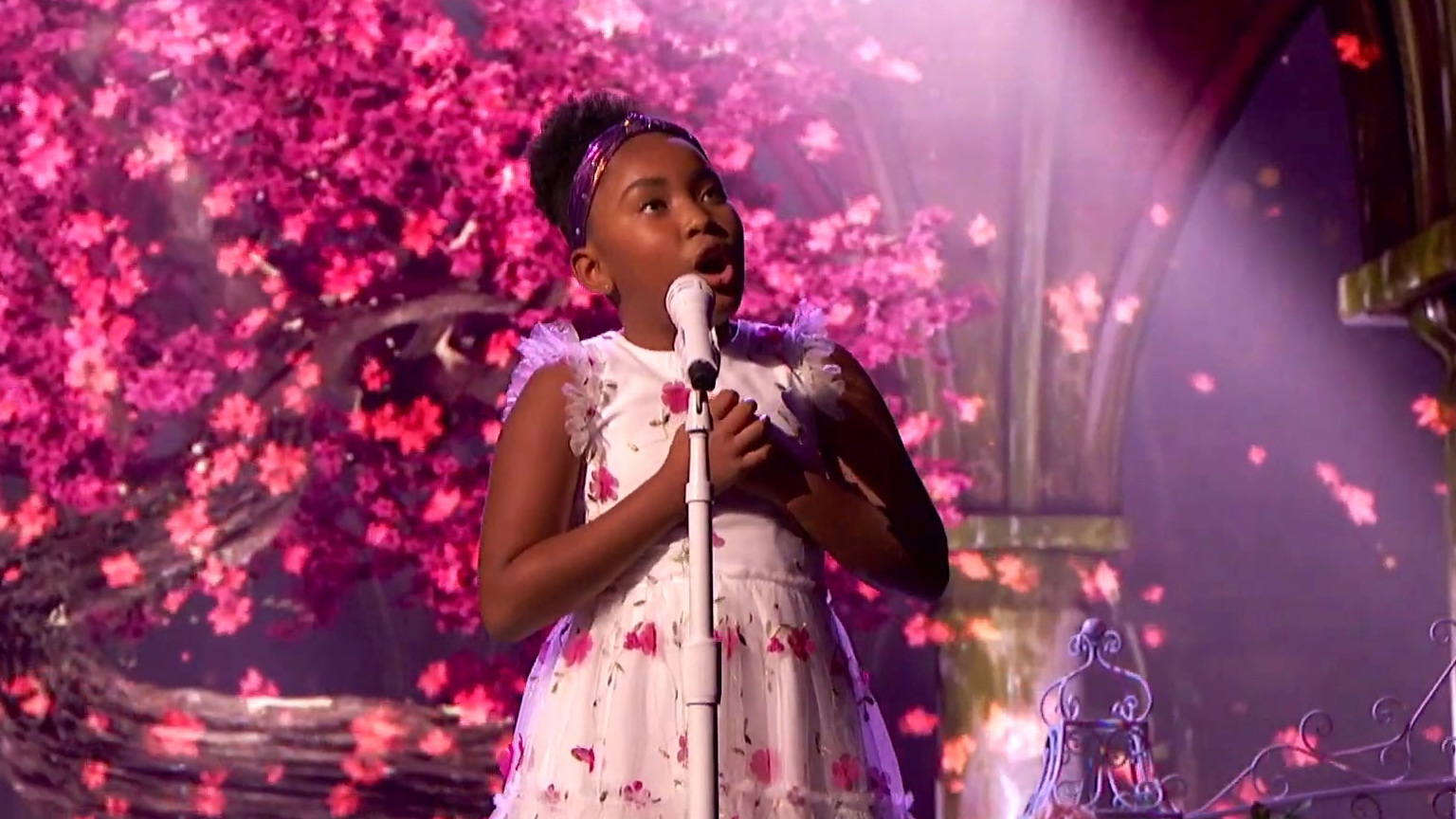 America's Got Talent: Quarterfinals 2