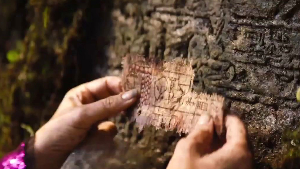 The Lost City (New Zealand 15 Second Spot)