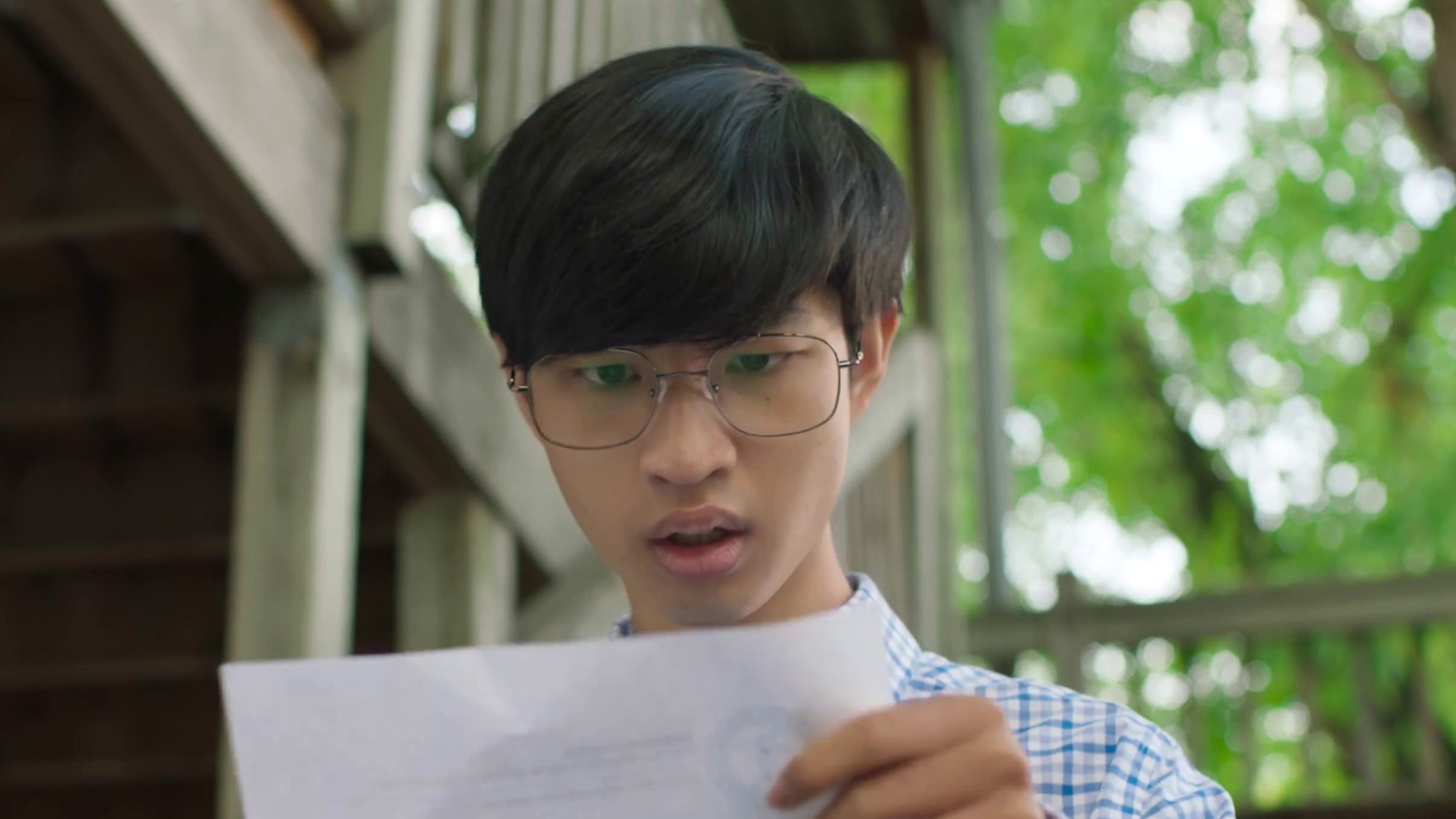 Paulie Go! - Where to Watch and Stream - TV Guide