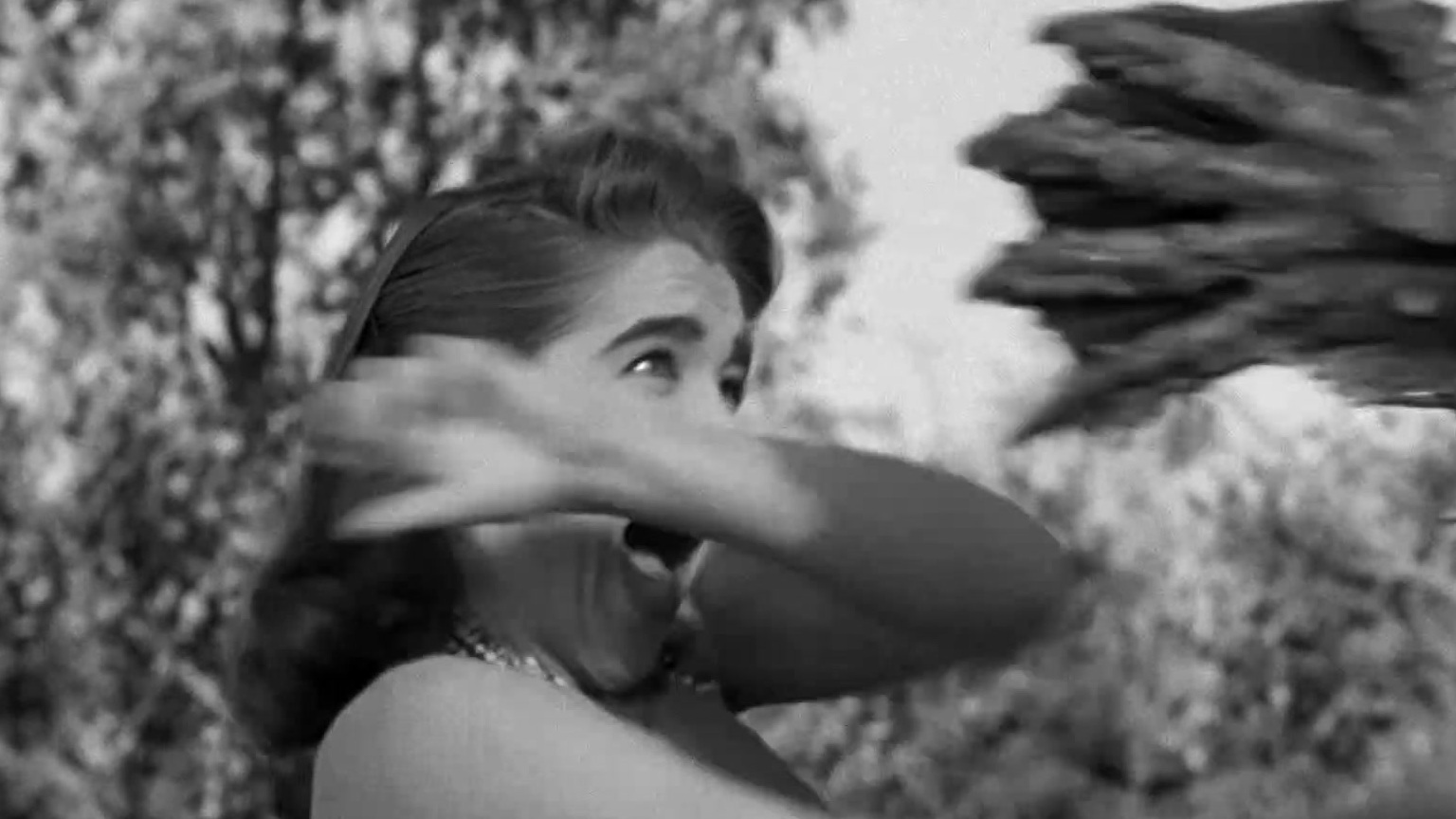Creature From The Black Lagoon (Fathom Events Double Feature)
