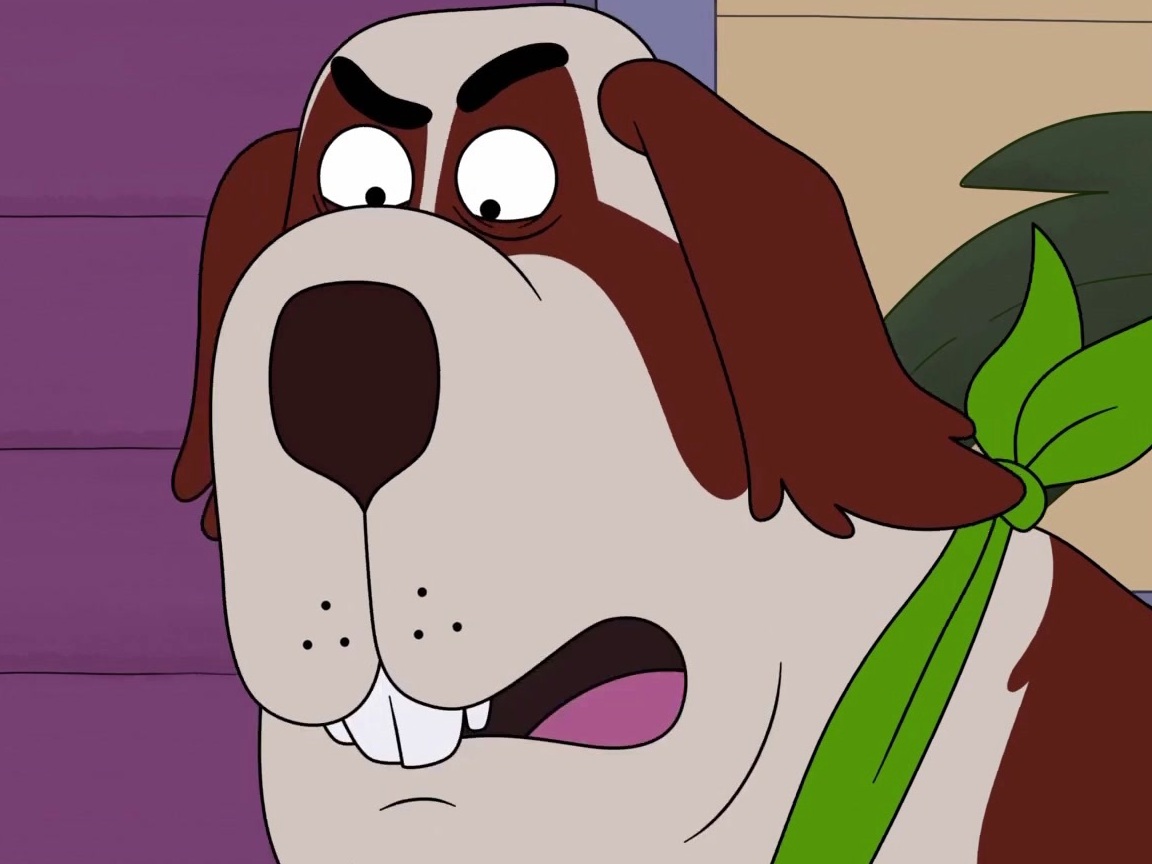 Housebroken Chief Does Not Want To Go To The Vet TV Guide