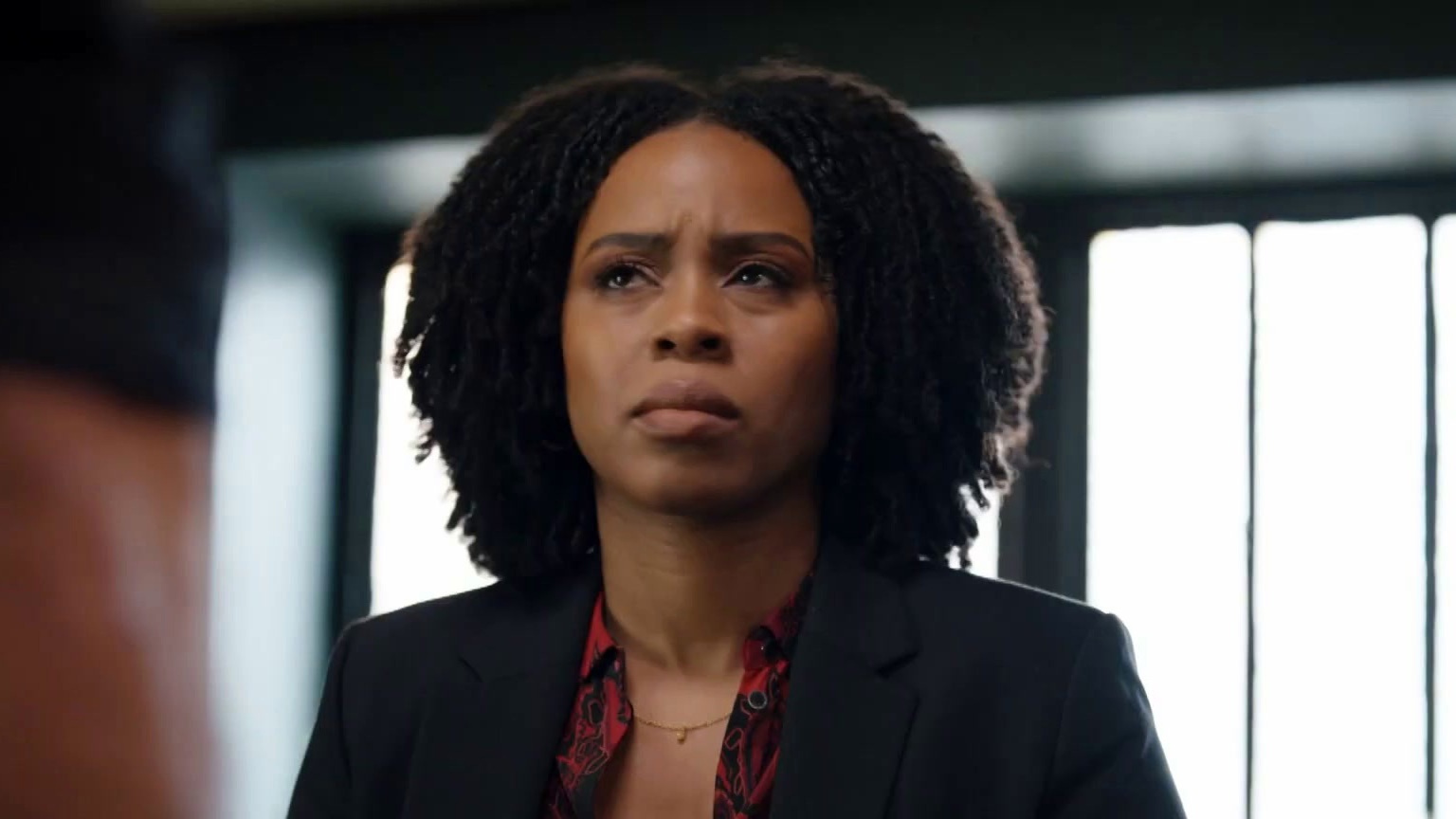 Law & Order: Organized Crime: Blood Ties