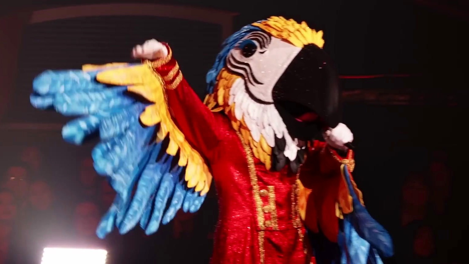 The Masked Singer: Macaw Performs Photograph