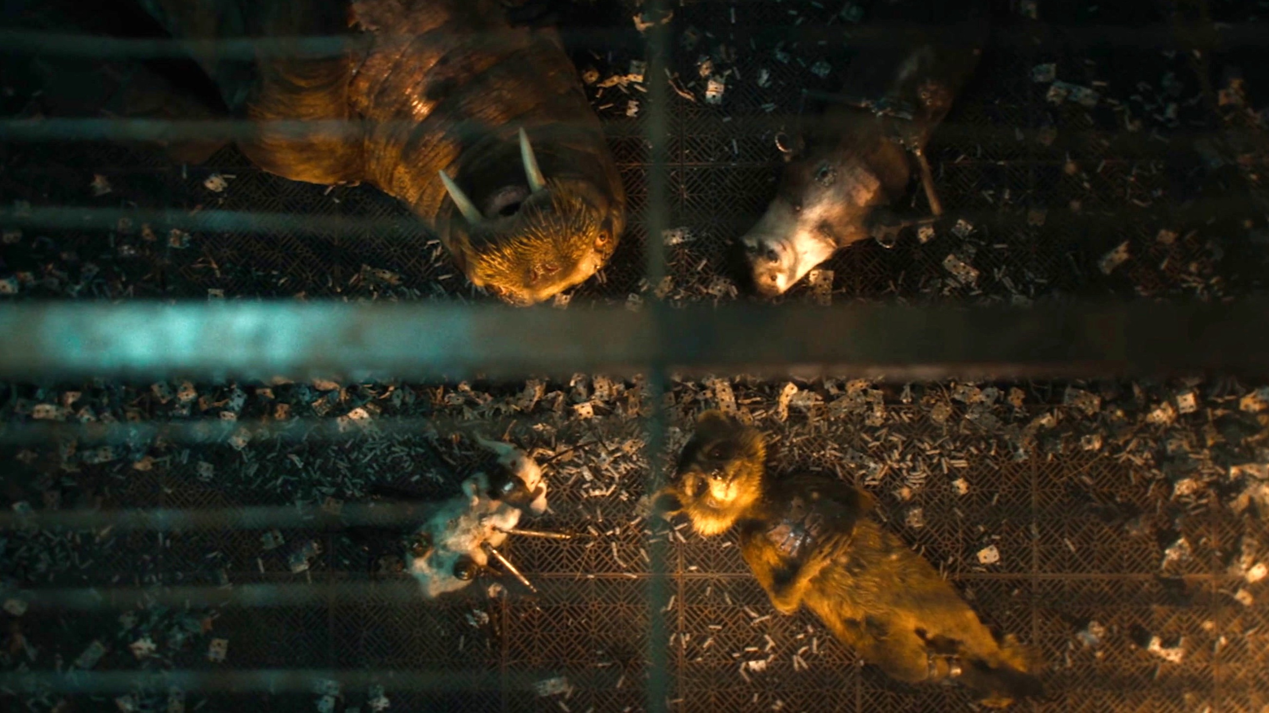 Guardians Of The Galaxy Vol. 3: Good To Have Friends