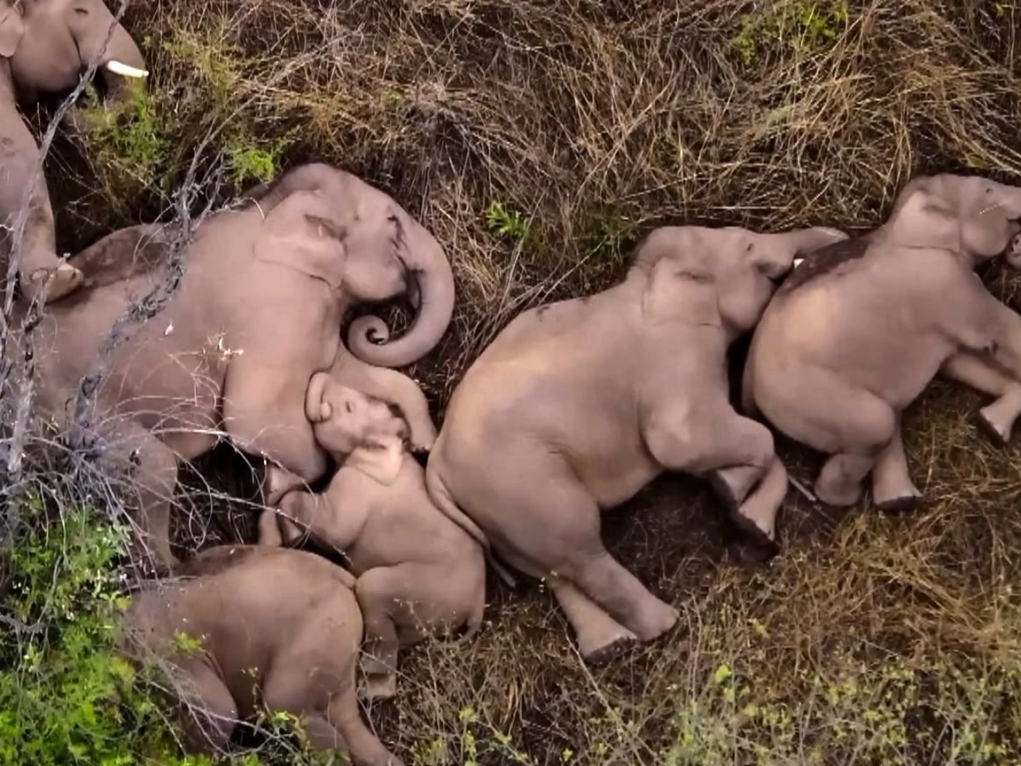Our Planet: Season 2