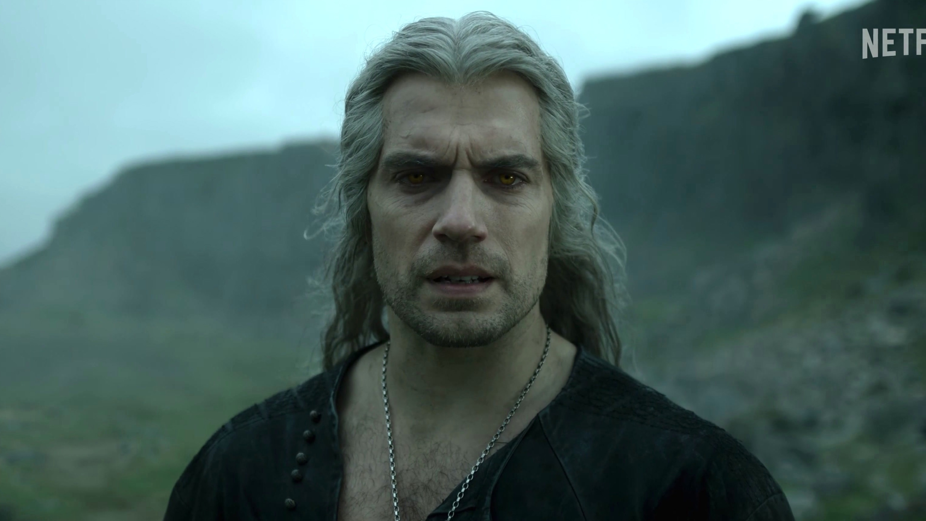 The Witcher: Volume 2