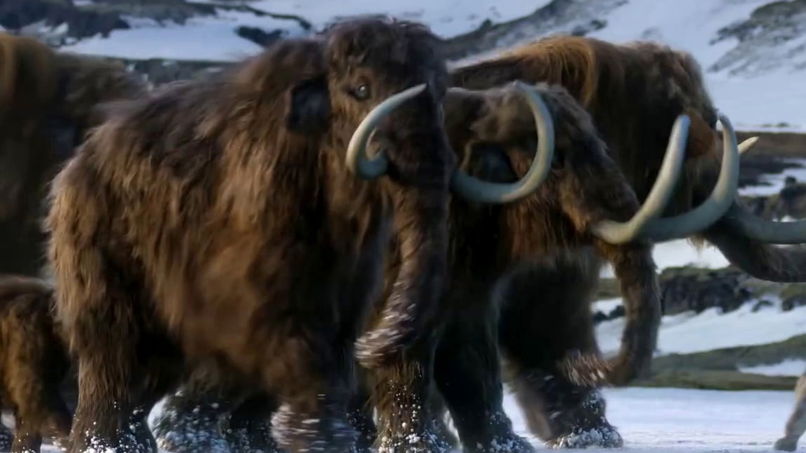 Life On Our Planet: Season 1